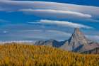 Mount St. Nicholas with autumn larch trees in Glacier National Park, Montana, USA Art Print